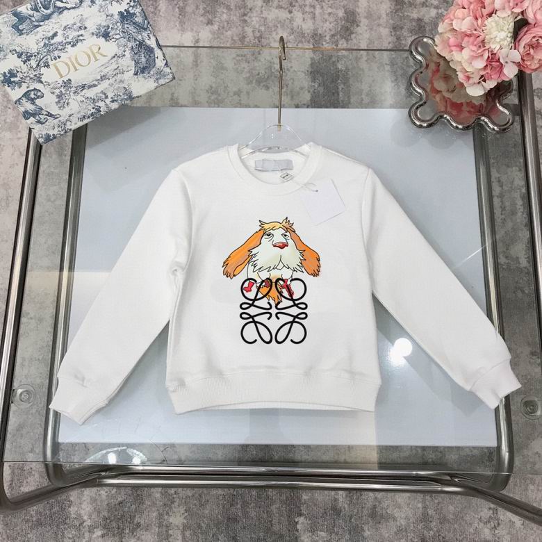 Loewe sz100-160 03